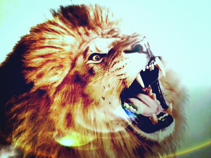 زيدزيدعباس