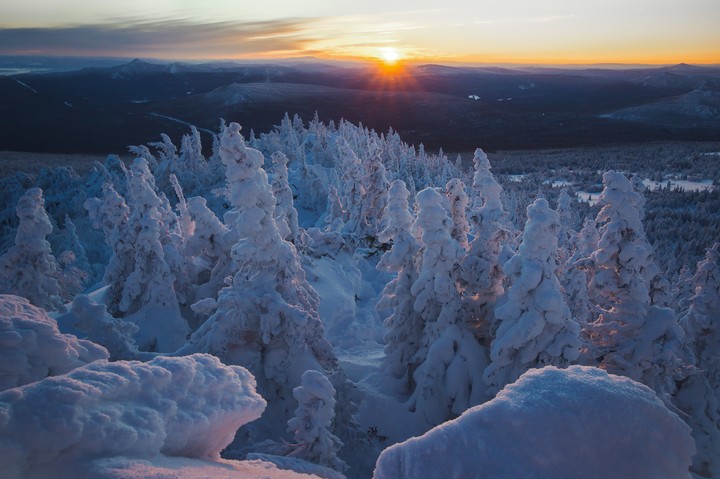 Taiga in winter - beautiful!