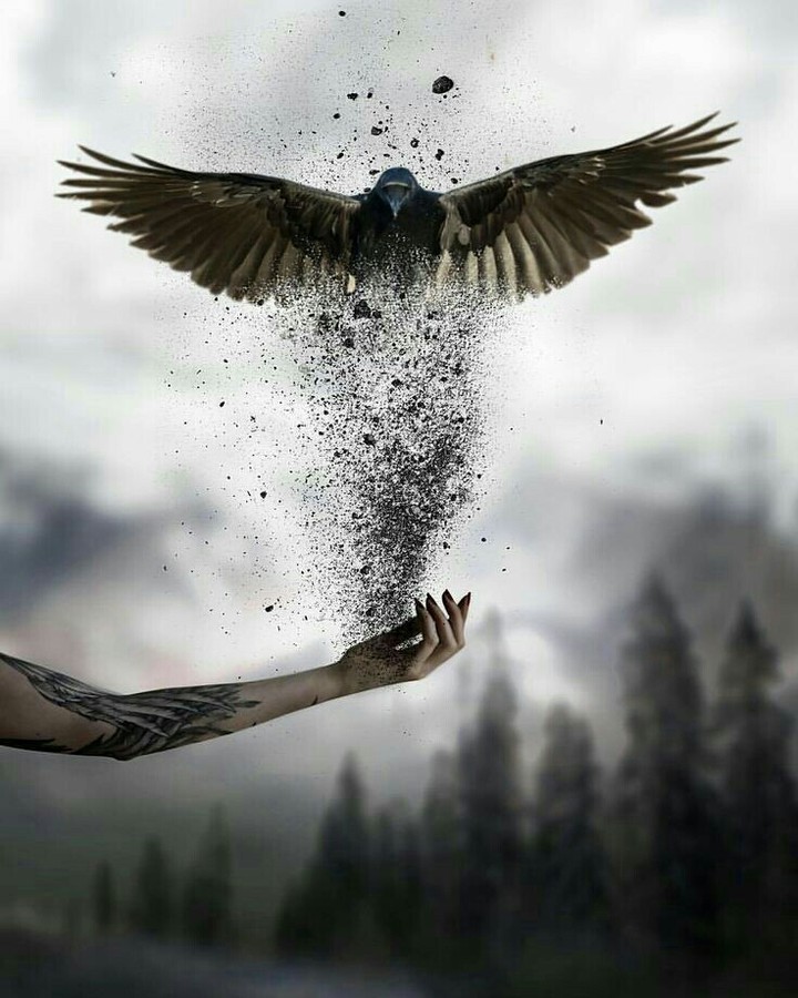 .