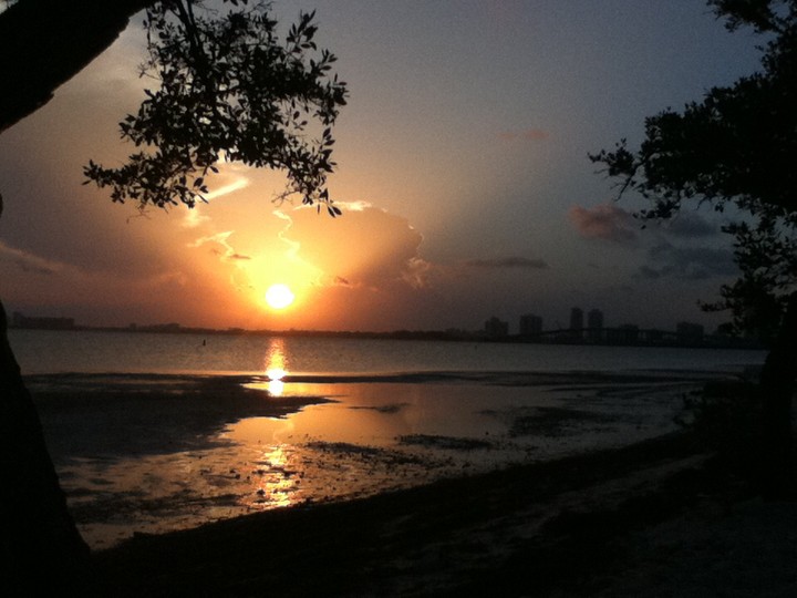 Miami Sunset