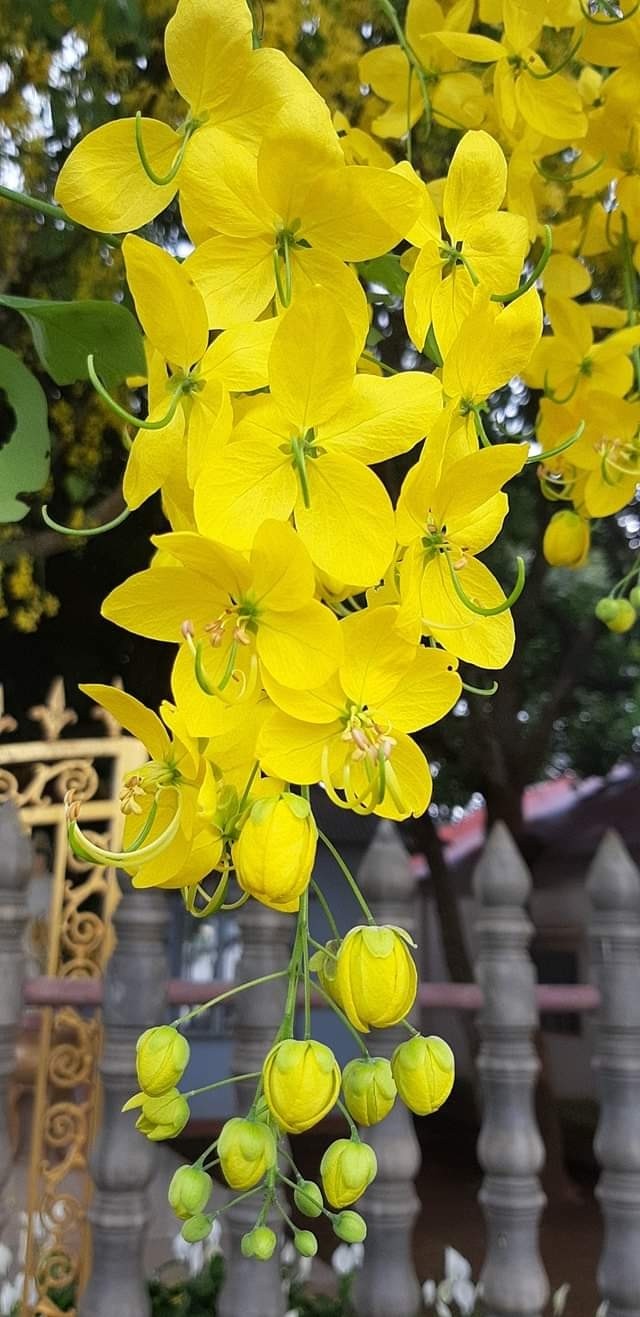 Osaka