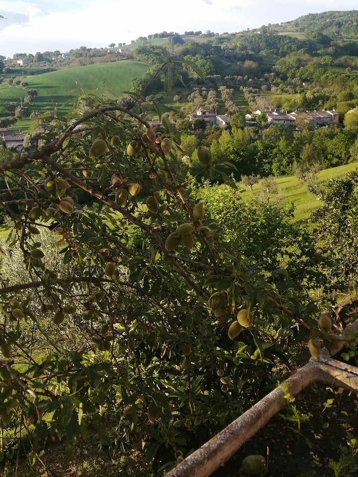la natura