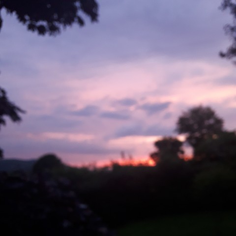 blury landscape