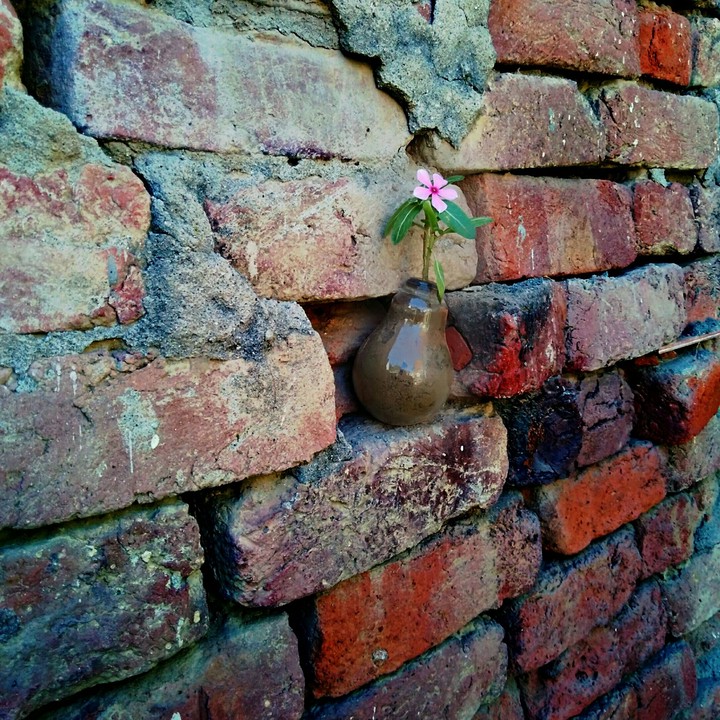 wall