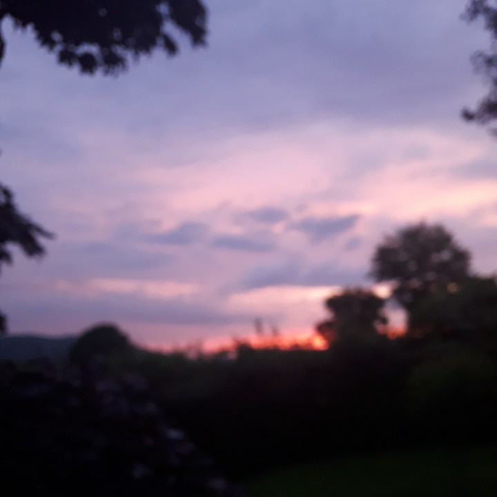 blury landscape