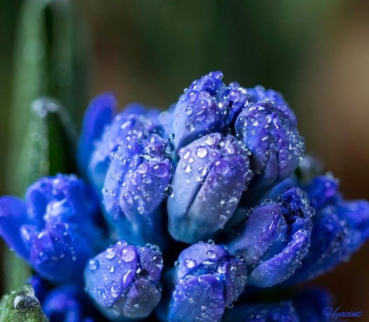 ~ macro ~