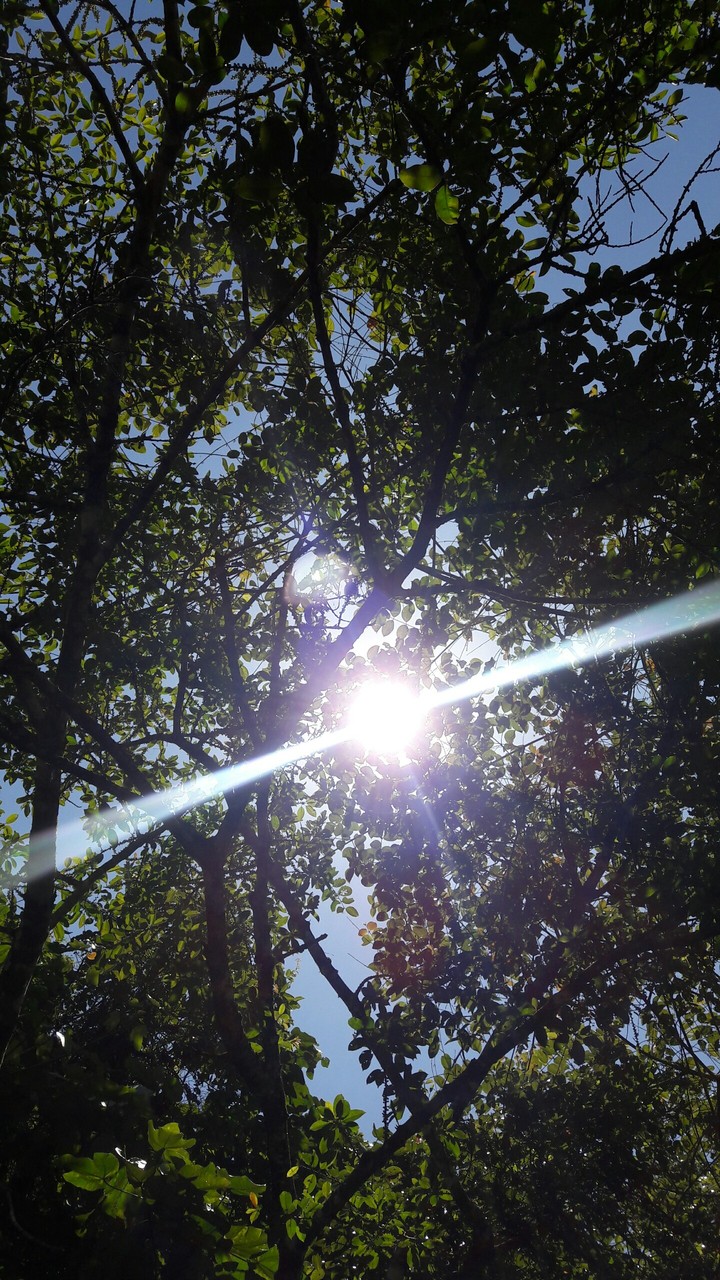 my sun