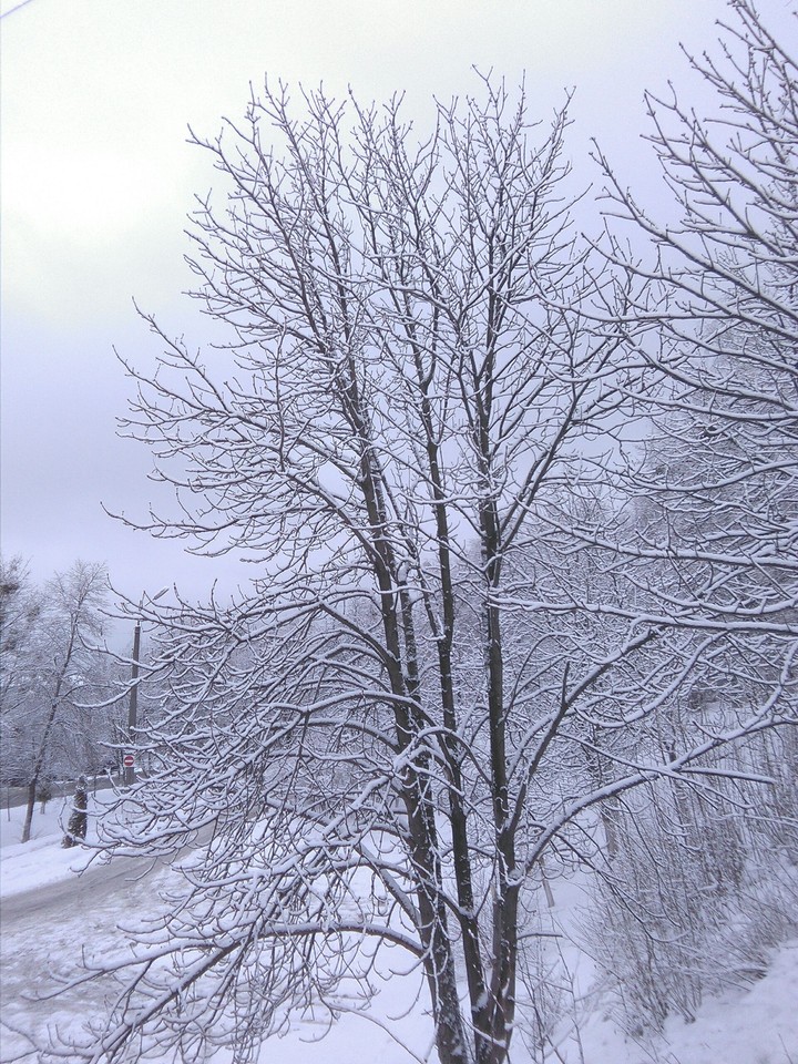 Magic winter