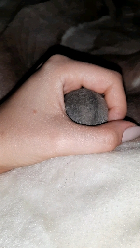 ??