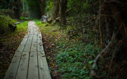 green way