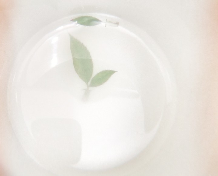LEAF OF LIFE