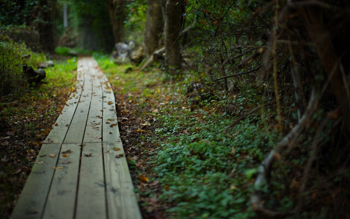 green way