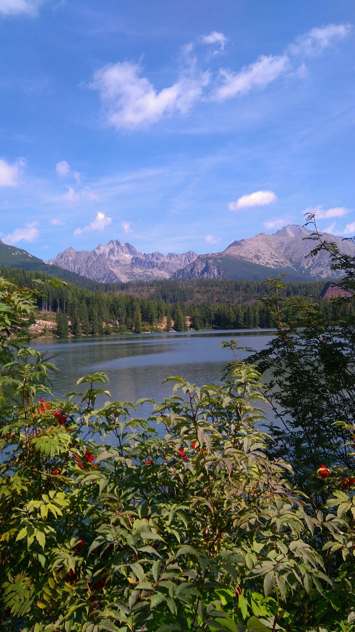 Slovakia