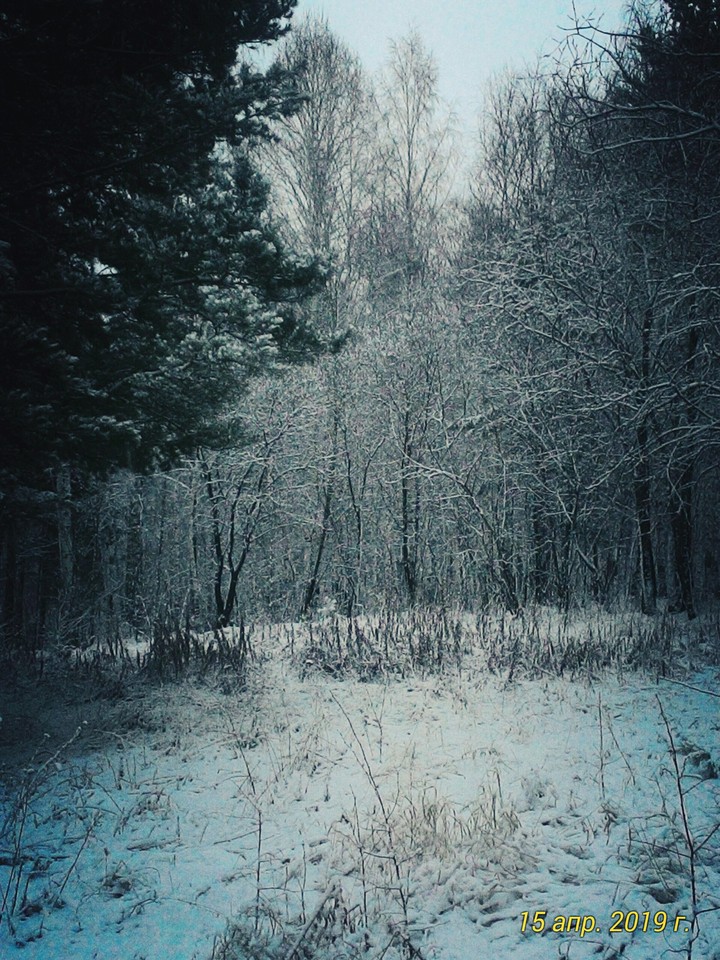 зима . Сибирь.