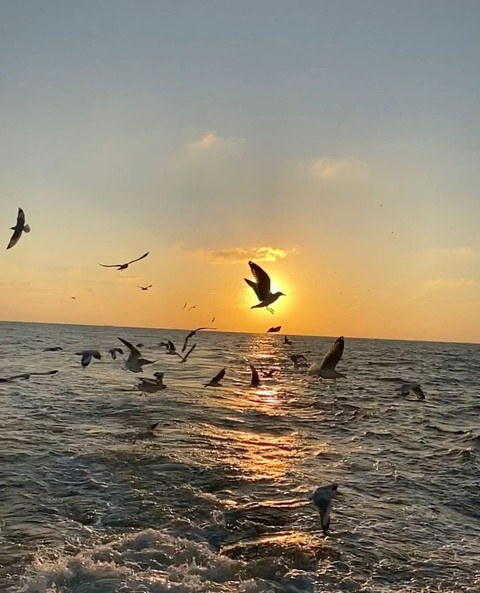 sea