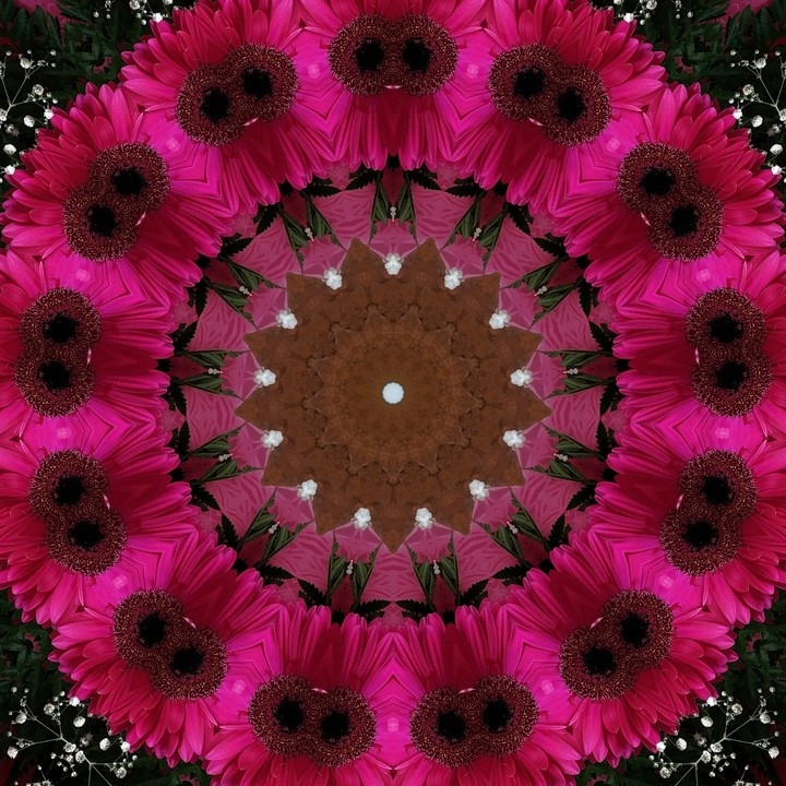 Цветы