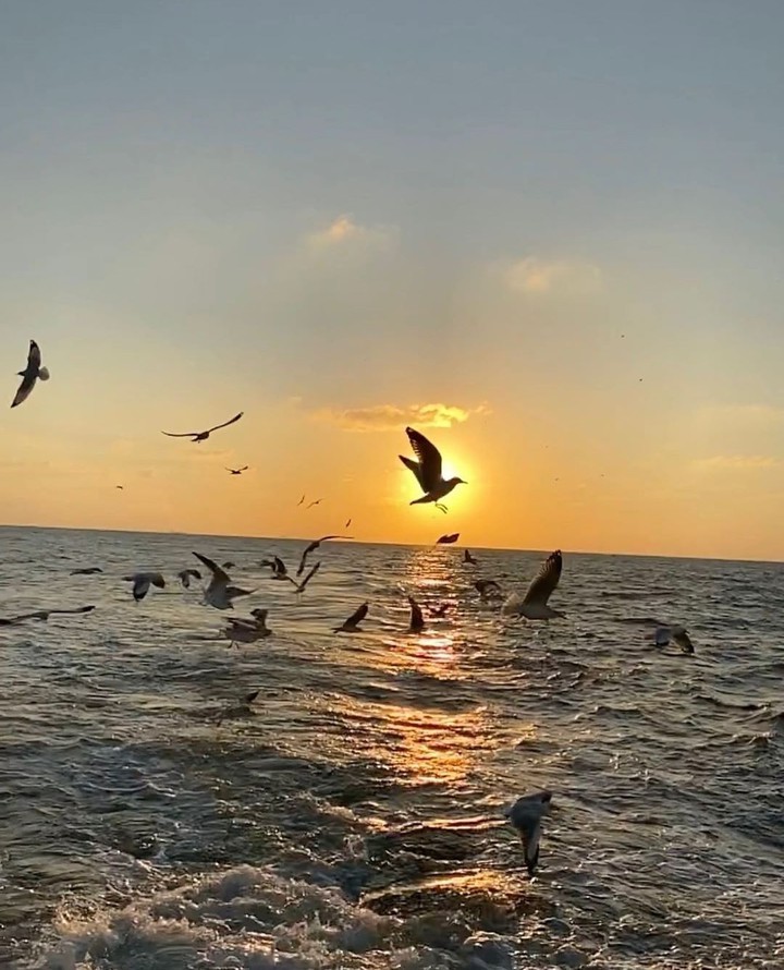 sea