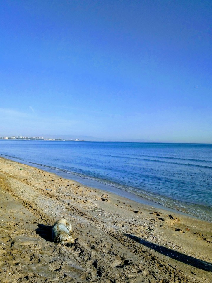 Caspian Sea