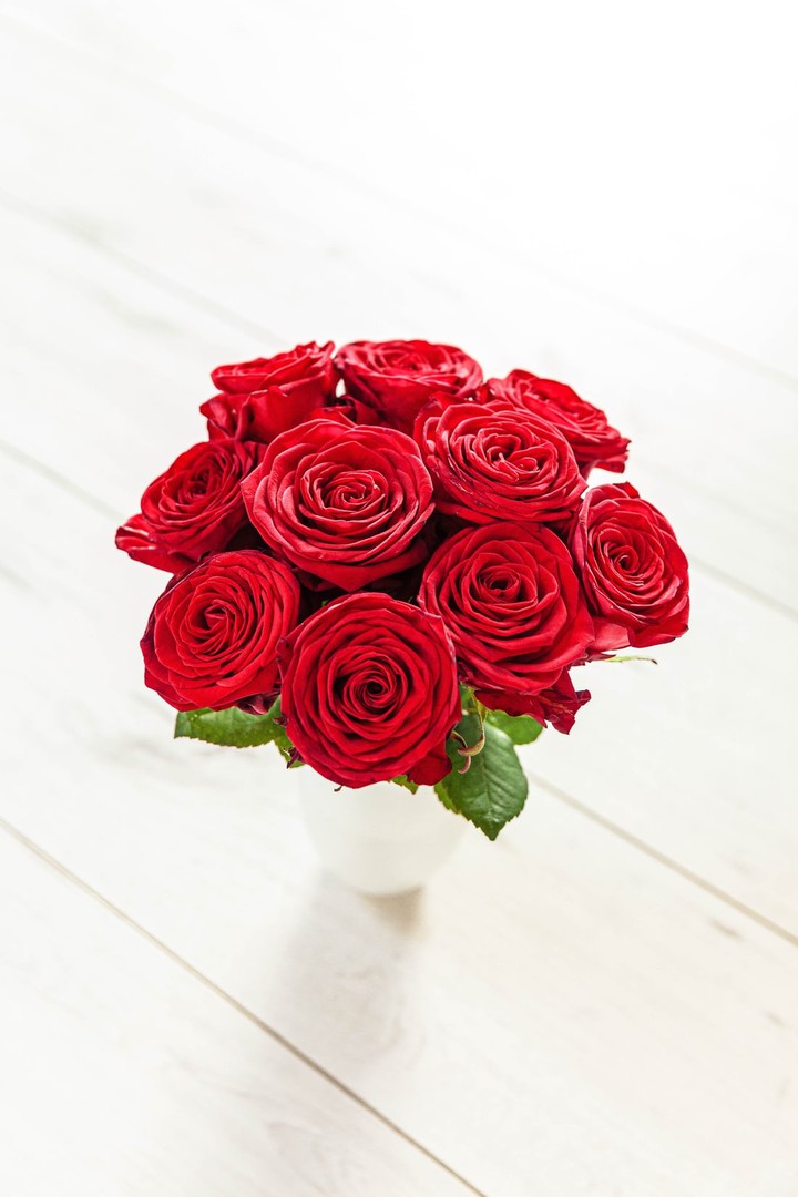 rose