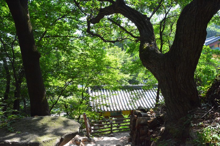 풍경이미지