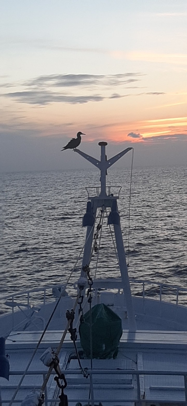 ocean