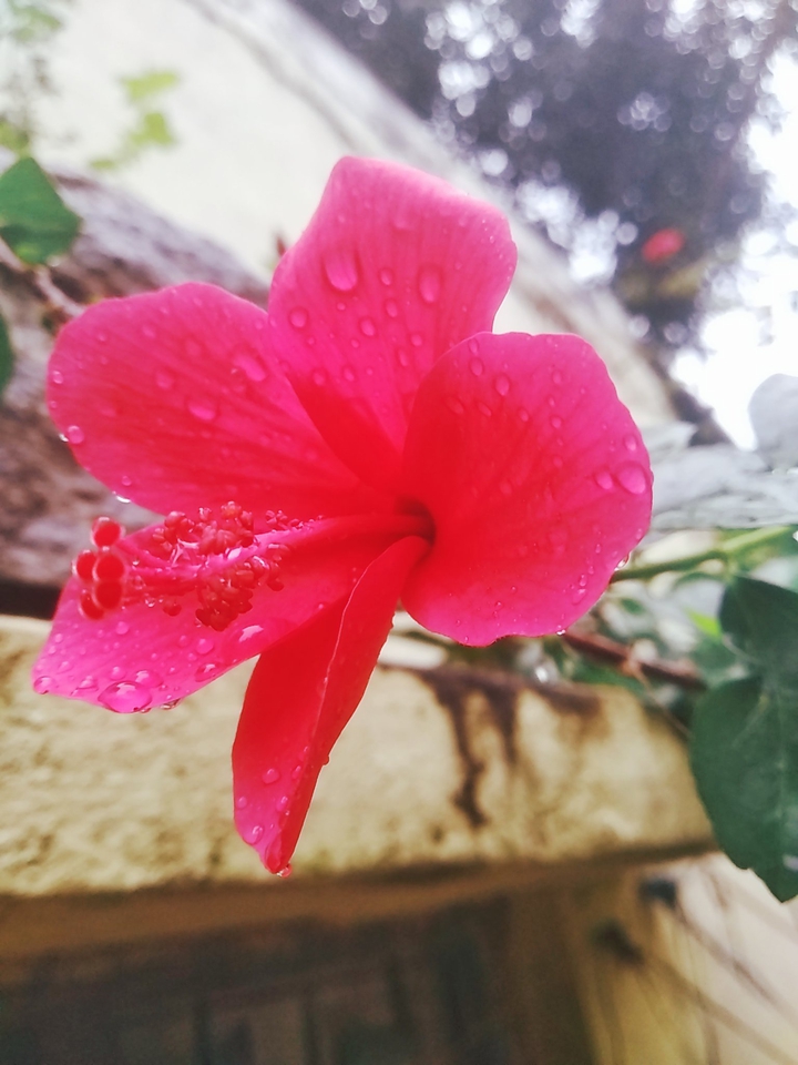 rainy days