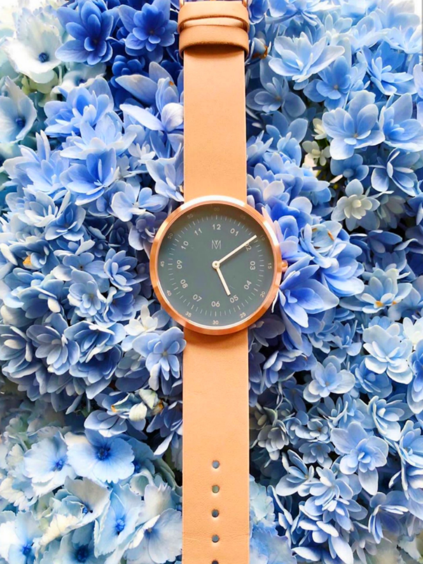 sfondi watch, strap