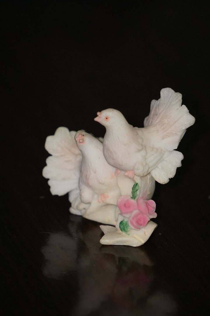 love birds