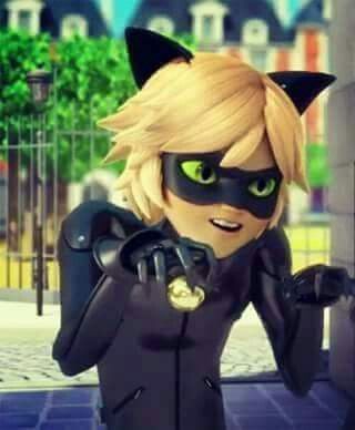 Cat noir