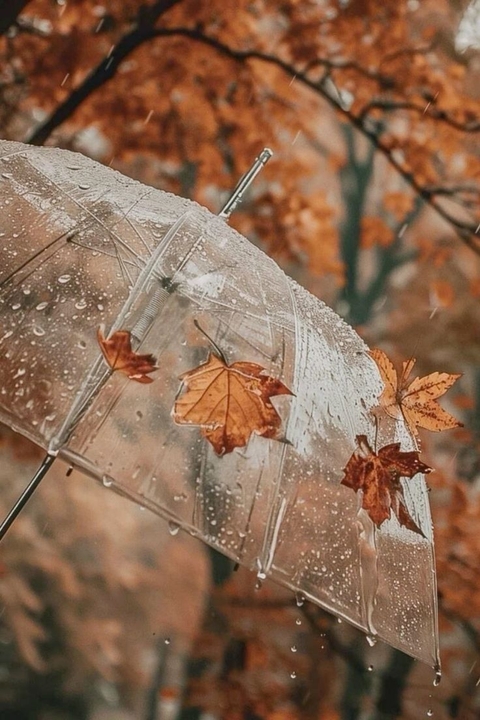 بدون عنوان