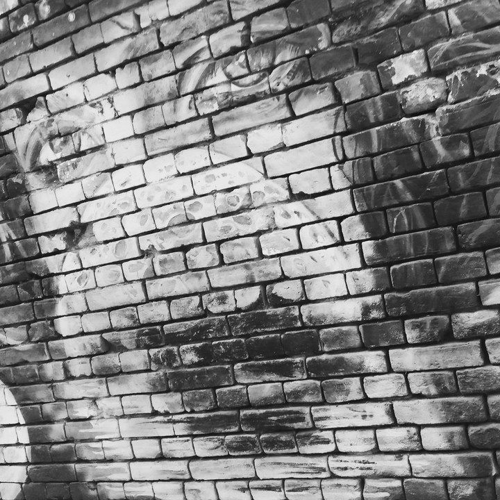 Wall eye's
