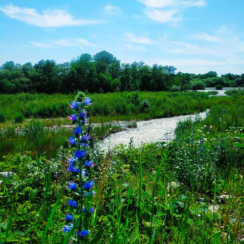 river