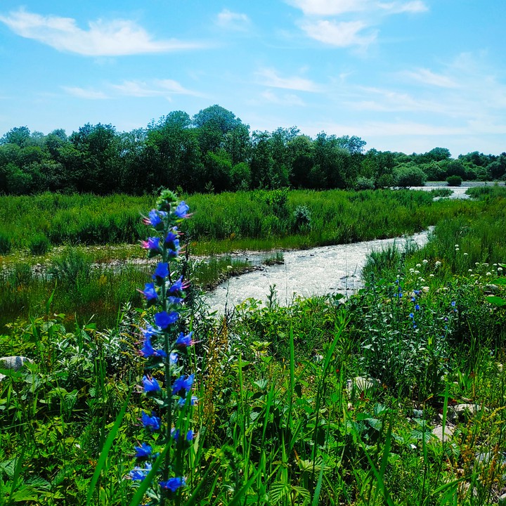 river