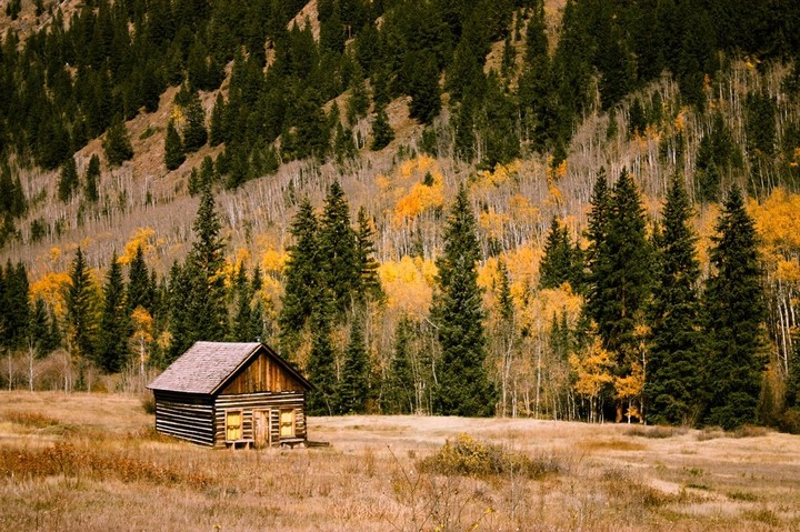 shack