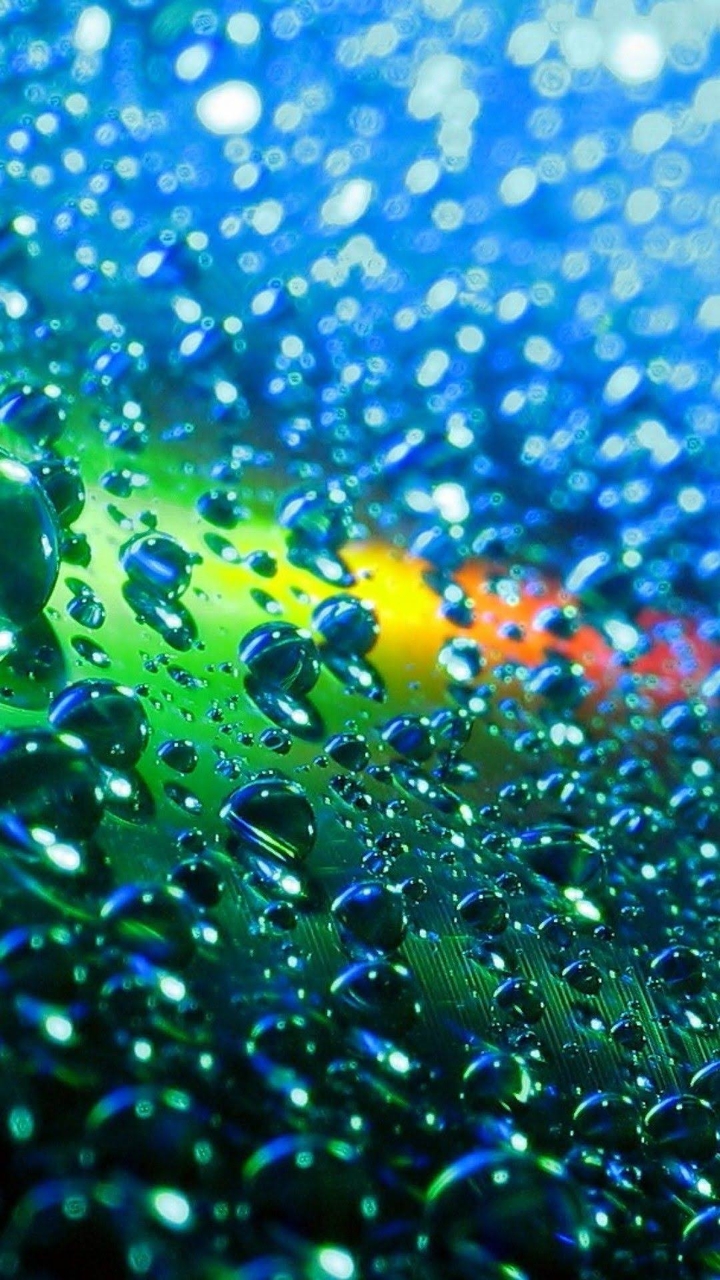 wallpaper HD