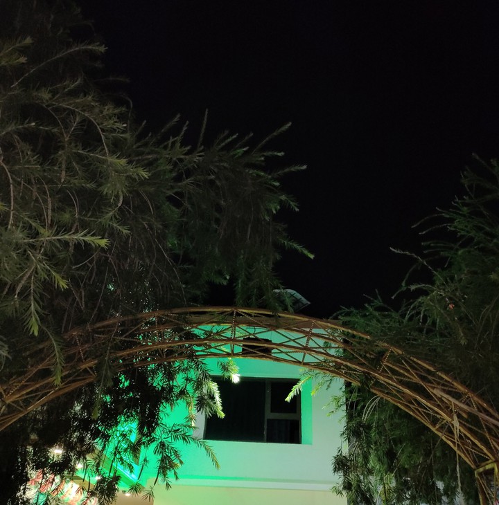 nights and lights..?
