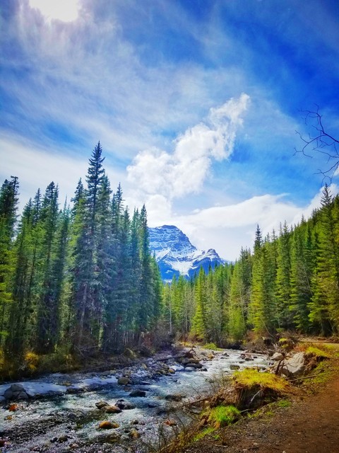 hike with a view