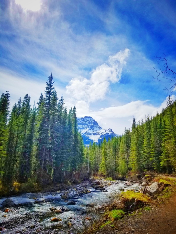 hike with a view