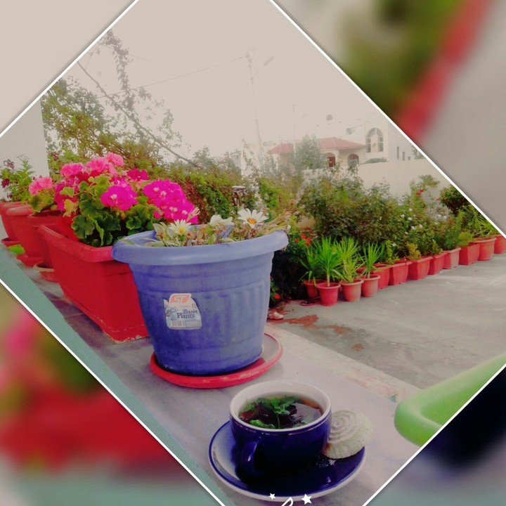 Nice place