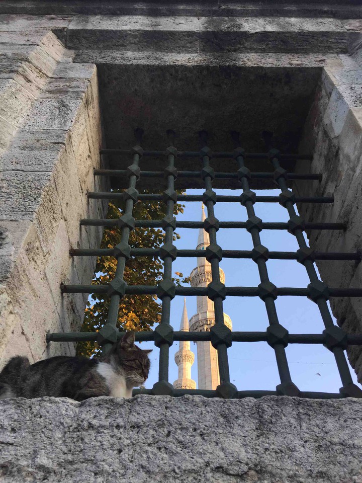 süleymaniye