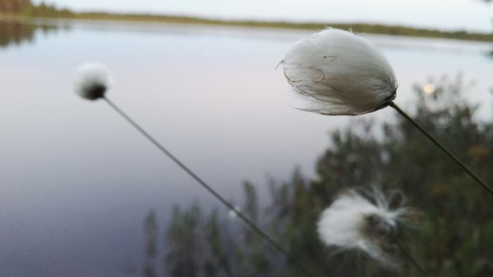 lake