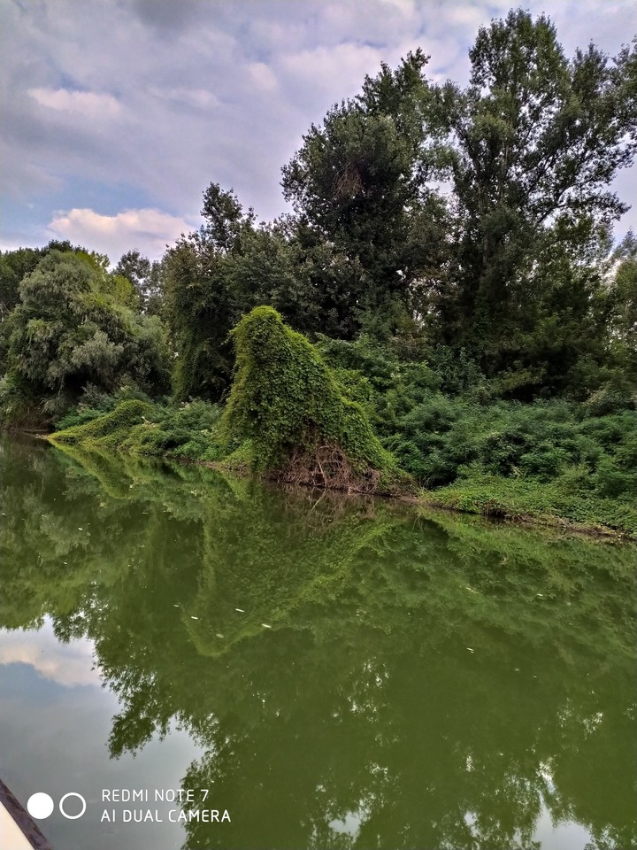 River