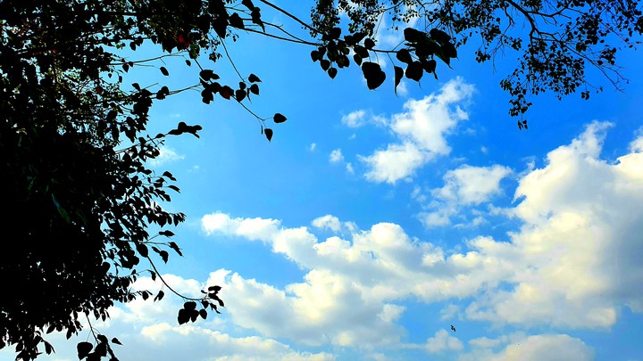 sky