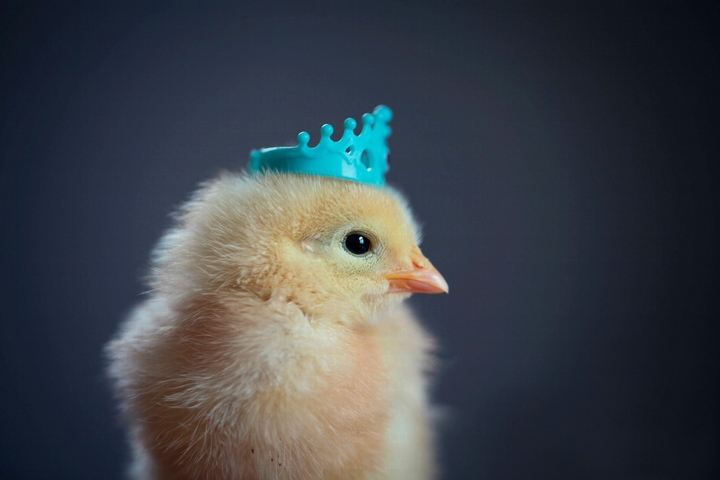 Happy Easter!!! 