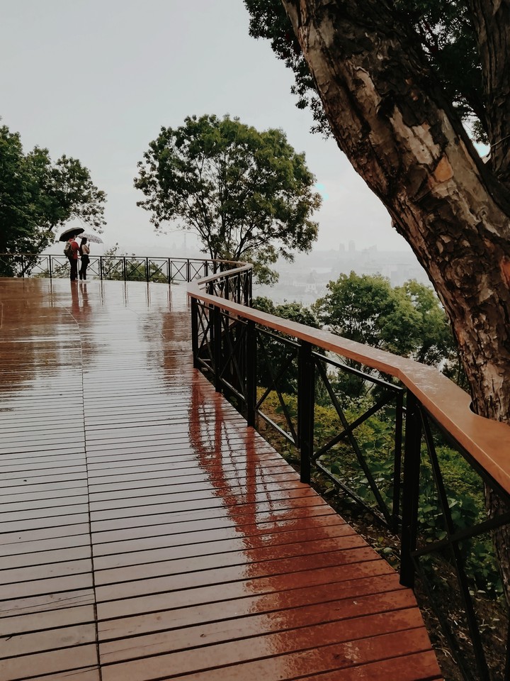 rain