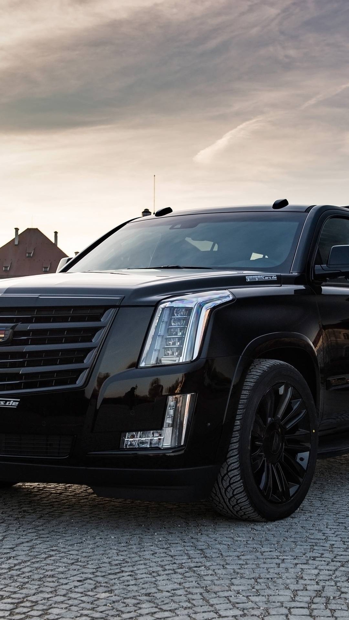 Black But Beast