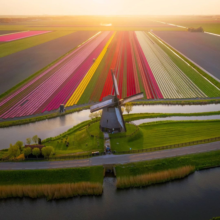 Netherlands