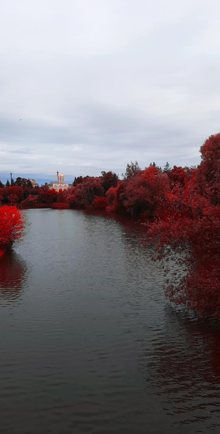Nature