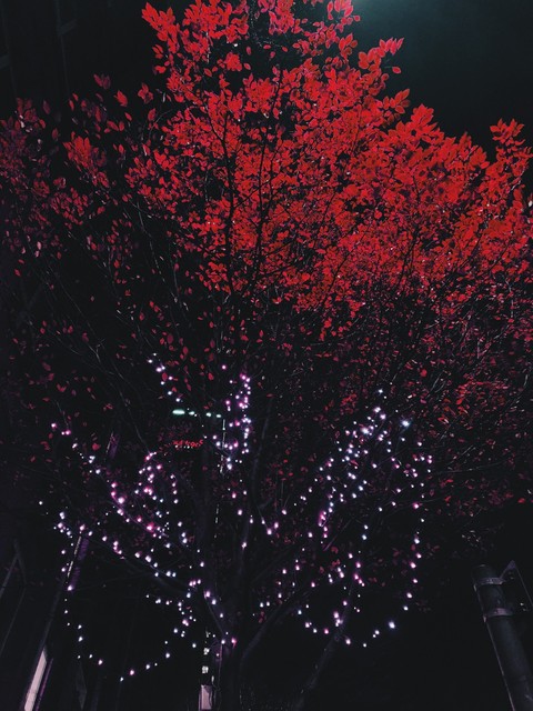 Red Christmas