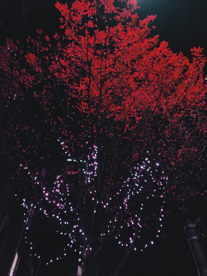 Red Christmas